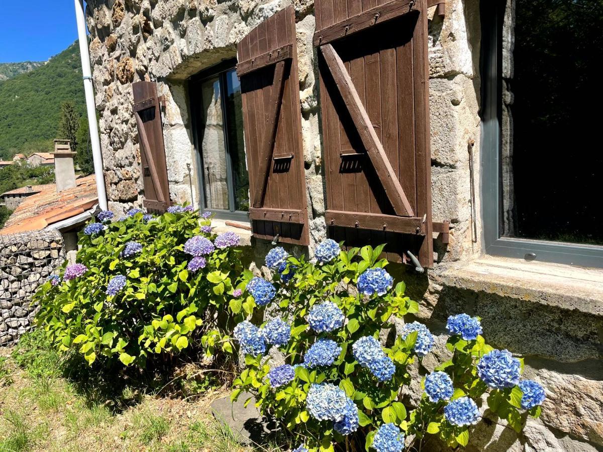 Gite Des Sausses Dans Une Nature Preservee Burzet 外观 照片