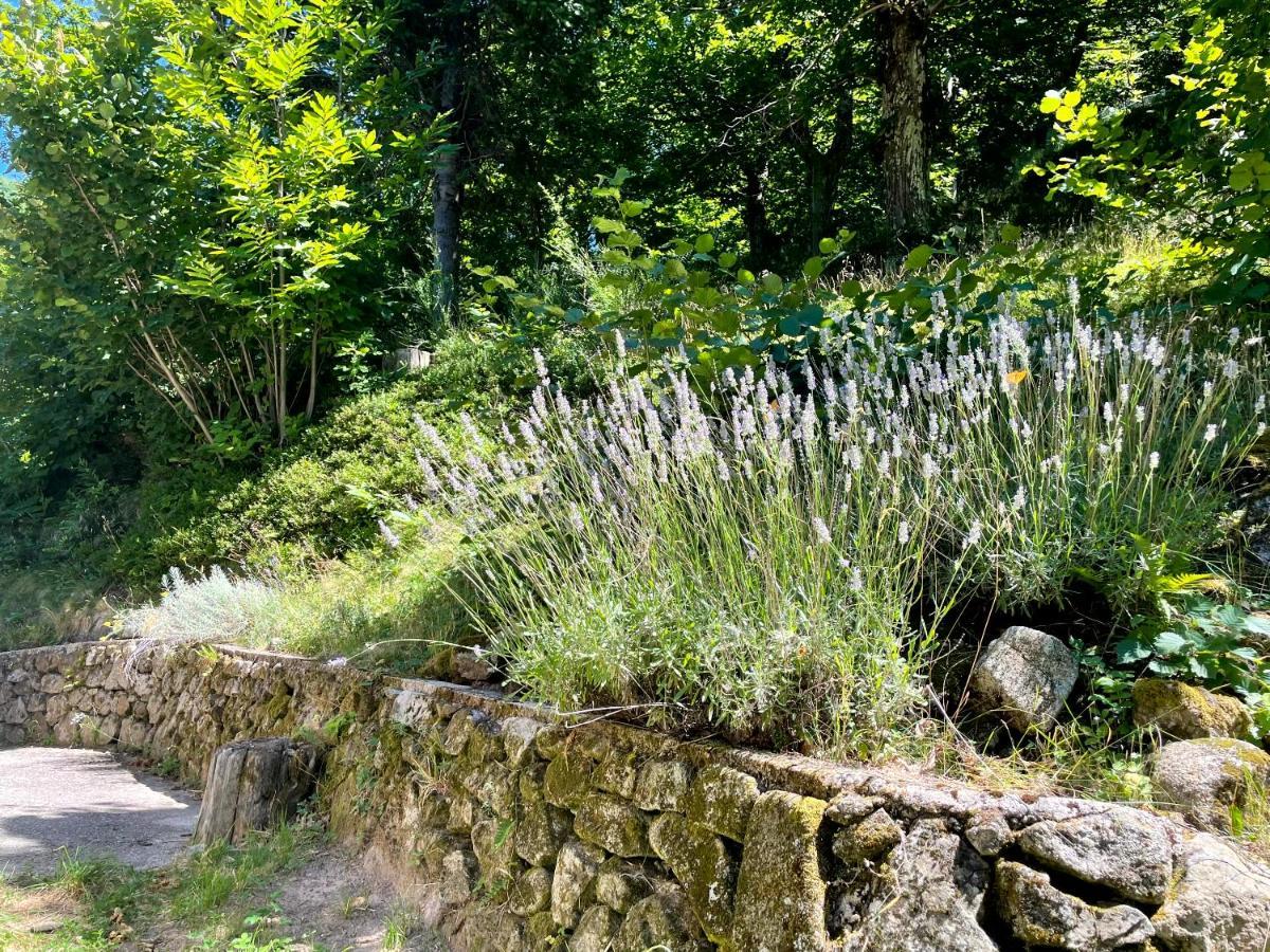 Gite Des Sausses Dans Une Nature Preservee Burzet 外观 照片